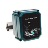 Wifi R Valve Remote Automatic Ing S With Home T