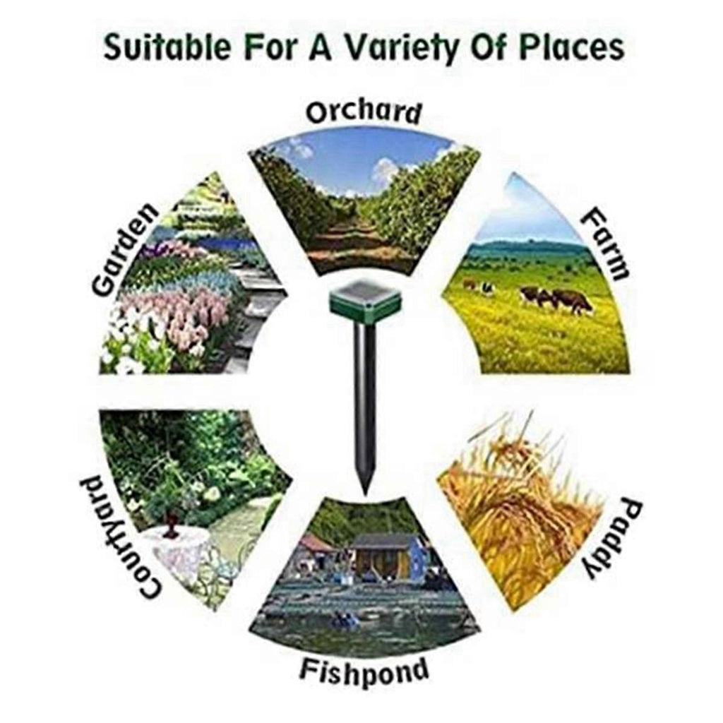 2ea9263635badafb33446b4ef1d66e48