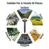 2ea9263635badafb33446b4ef1d66e48