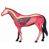 c6e0a5cefde11fccab6f6623fd02d3cc