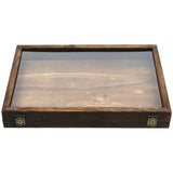 Insect Display Case Collection Box Butterfly Box with Clear Cover Hangable Insect Specimen Case Box
