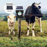 b9c382fd710aaf684e7ffc3cb7a5aa71