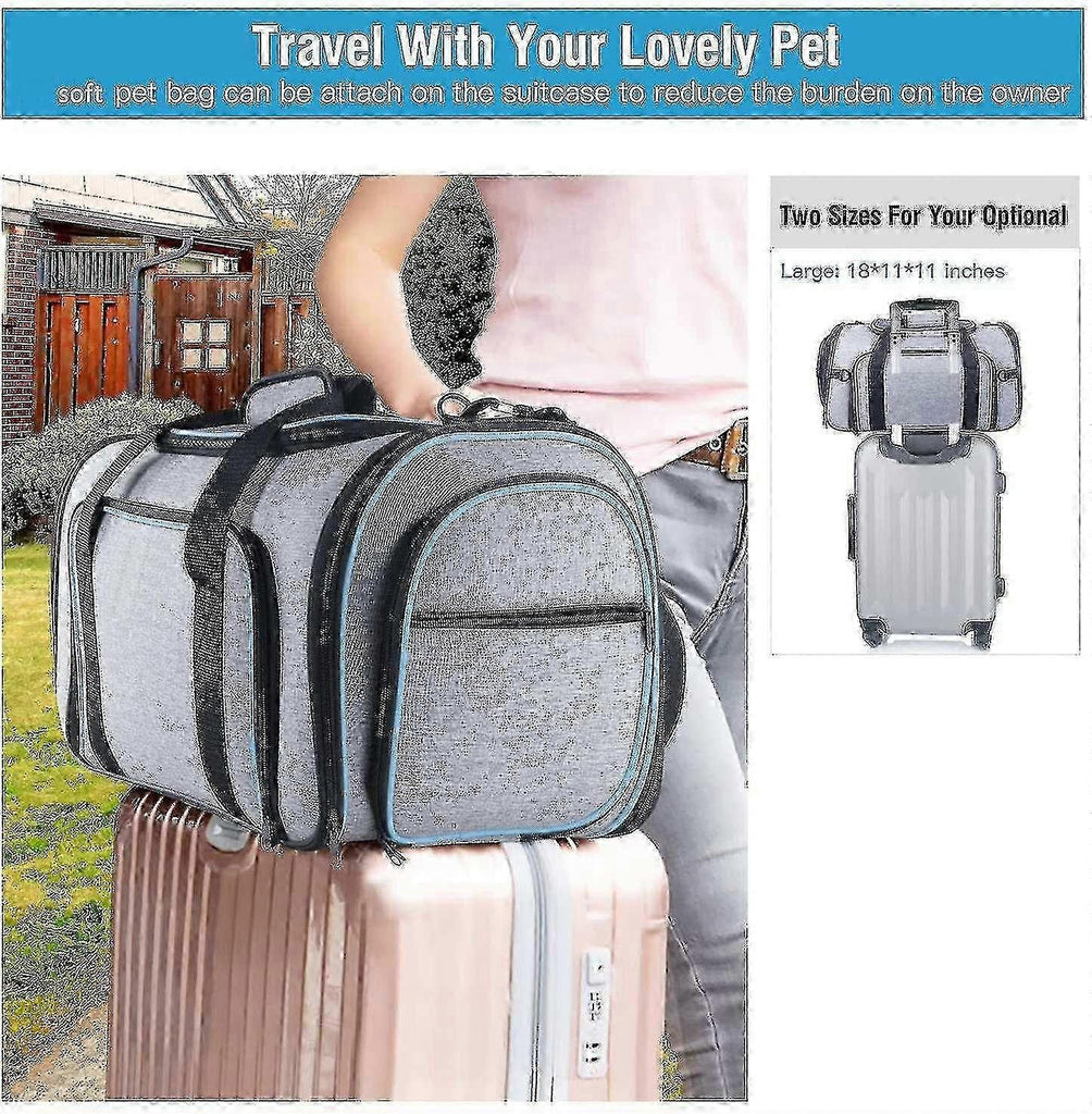 2f31d231a4110532eb012c3345387e88