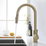 Brushed Gold Kitchen Faucet With Pull Out Spray 360 Swivel Kitchen Faucet For Kitchen Sink Mixer Ta