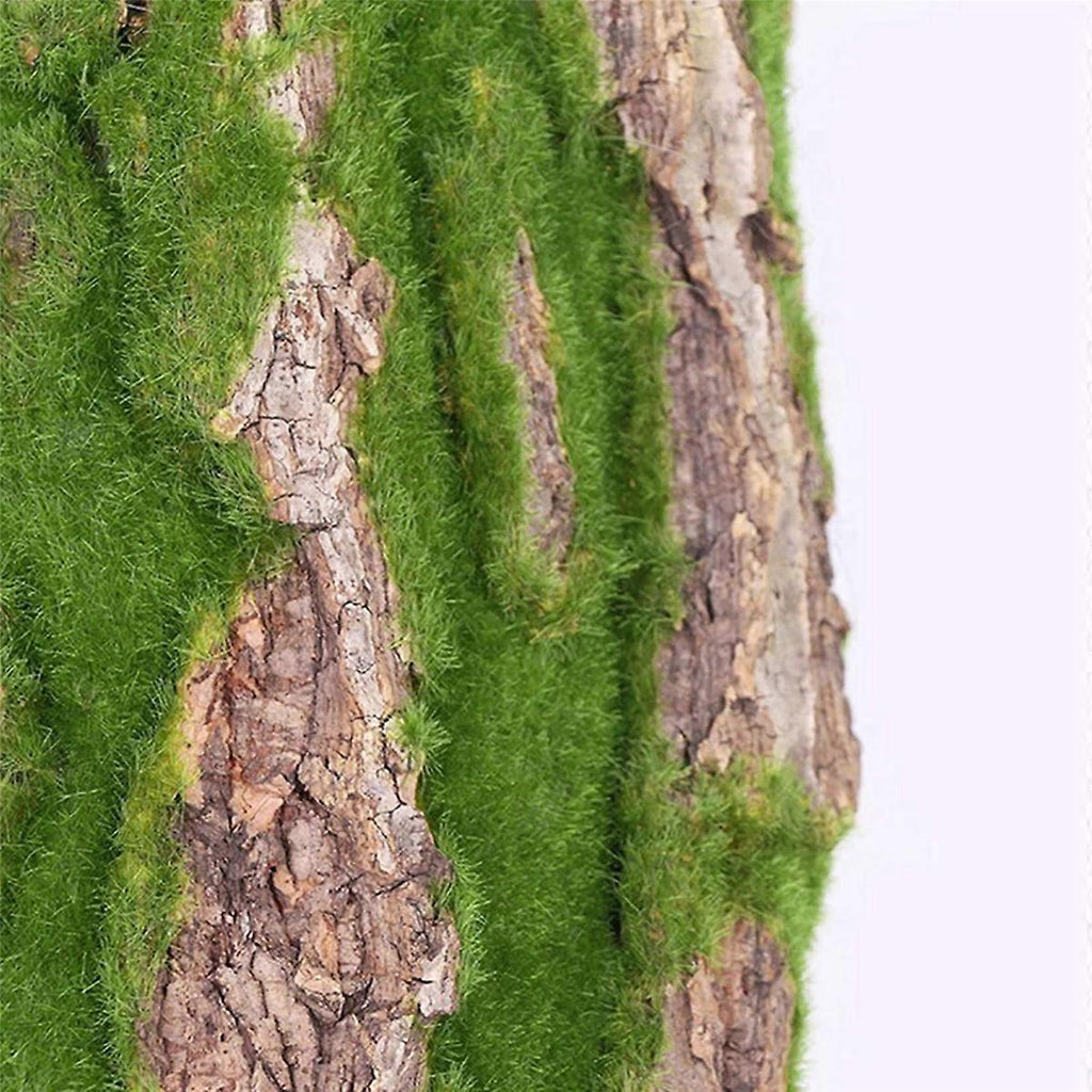 f85b674de50ea7b31e1b10d34b7dec03