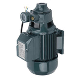 Clean Water Pump Small Portable for Household Irrigation Farm Garden QB70 550W  45L/minAC110V