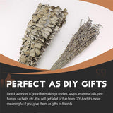 fee809825d027a610ad3611cb266c553