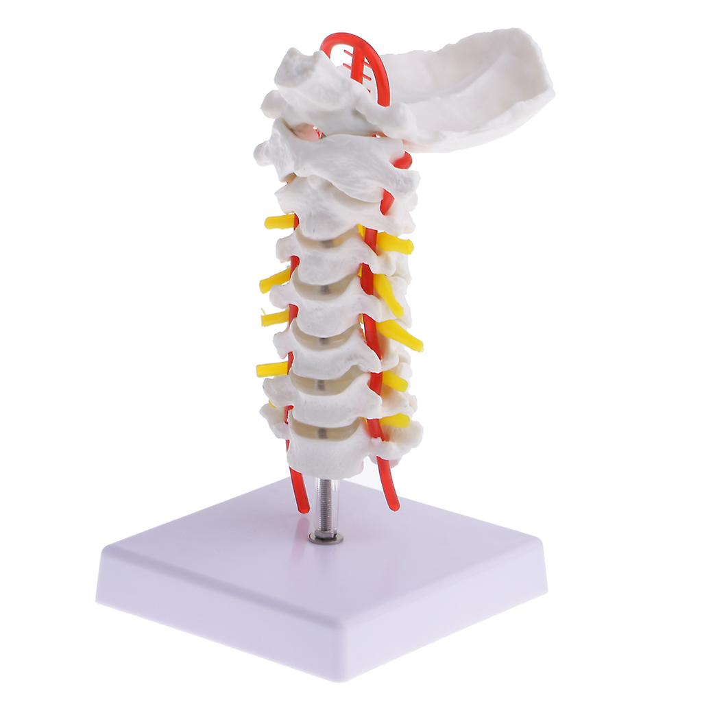 056c8e1ac20fe313438224e4f8b7f05f