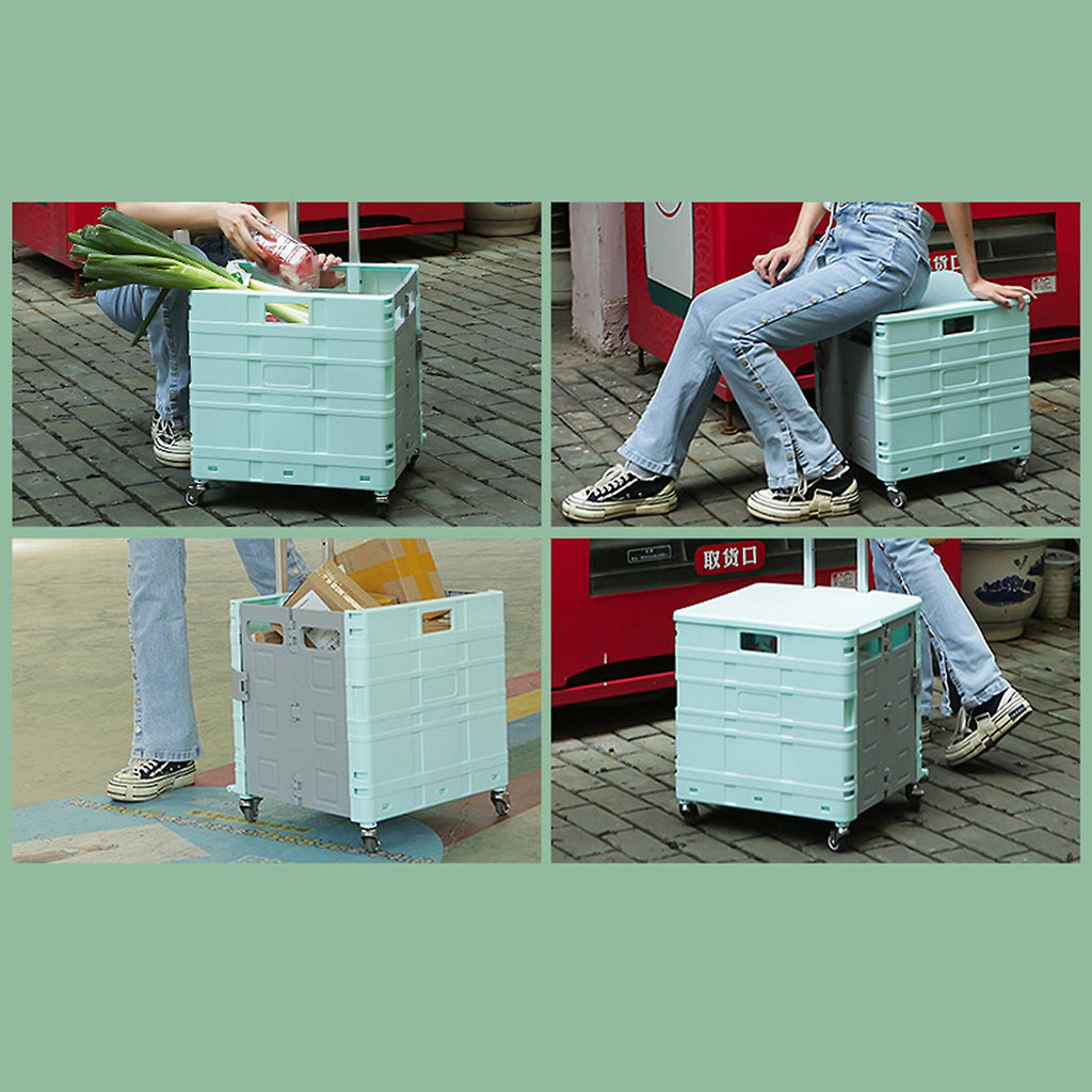 81e5d6f3ce3df2b72e2eccdaec3a828d