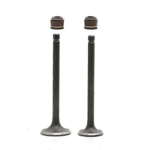 b7aa889a88144fc4795362d3534b9ac2