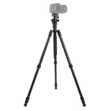 Triopo GT-2504X8.C Adjustable Portable Carbon Fiber Tripod with B-1 Aluminum Ball Head for Canon Nikon Sony DSLR Camera