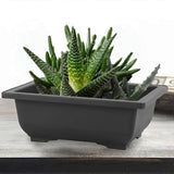 6packs Pots With Tray Plastic For Garden Yard Living Room 225x165cm