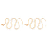 2X Real Snake Skeleton Animal Specimen in Science Classroom Specimens for Science Education