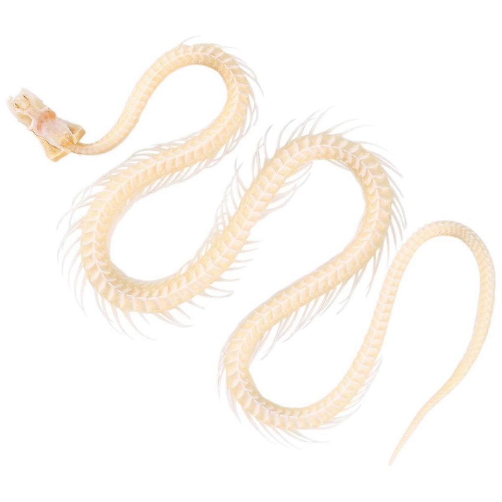 f3238a3fad4148b58b7fc45d8ca39215