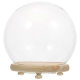Luminous Micro Landscape Glass Dome Glass Cover Flower Plant Preserved Container