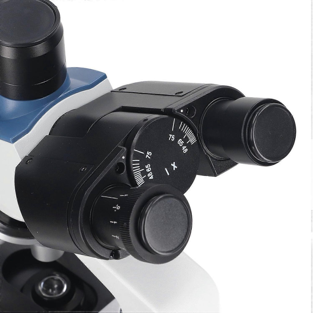 c395b9e8df4b305cf58c9eb4de22a7e1