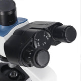 c395b9e8df4b305cf58c9eb4de22a7e1