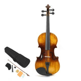 Violin Set Wood HandMade Bright Light Musical Instrument for Practice Exam AV207