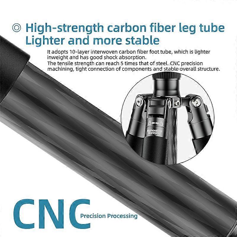 56deff6c8d7f04efe2ca18191c862790