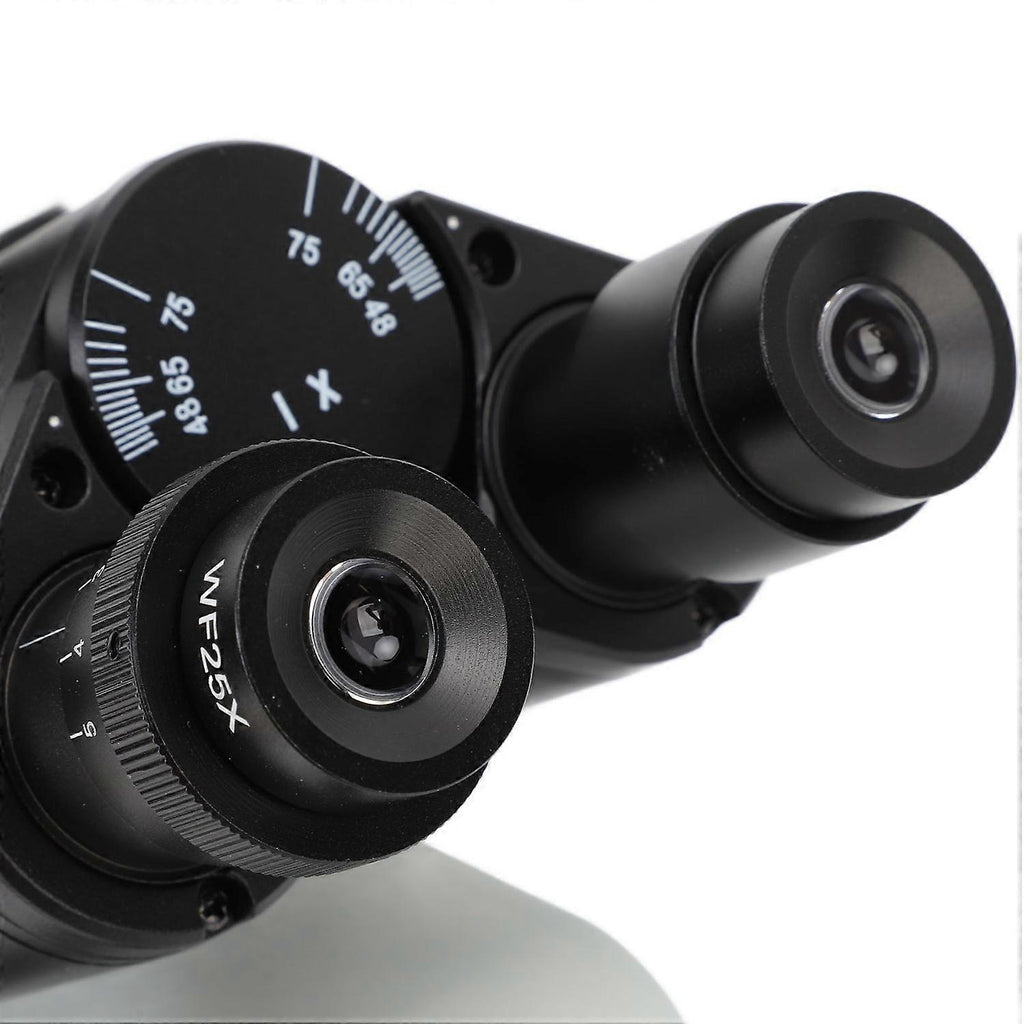 715947b52071a2f8247ab6a4a21a73ce