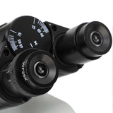 715947b52071a2f8247ab6a4a21a73ce