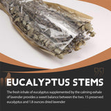 15 Pcs Dried Preserved Eucalyptus Stems & Lavender Flowers Bundles