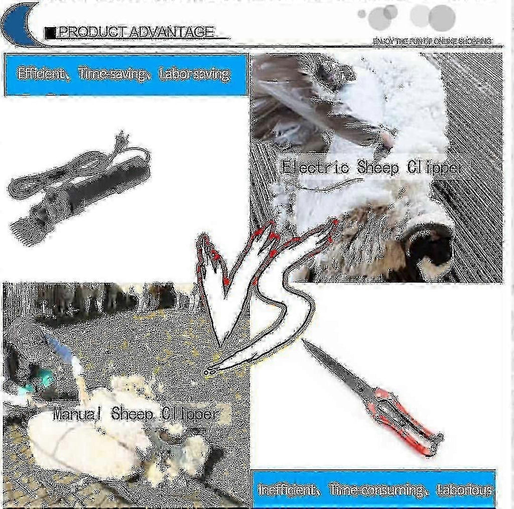 393ea8be9f95b6665735b6407b96085d