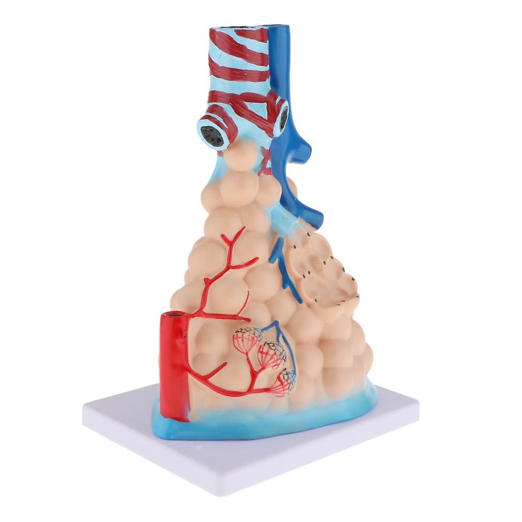 68fc1cdb01e403c77ae637b590ee3be5