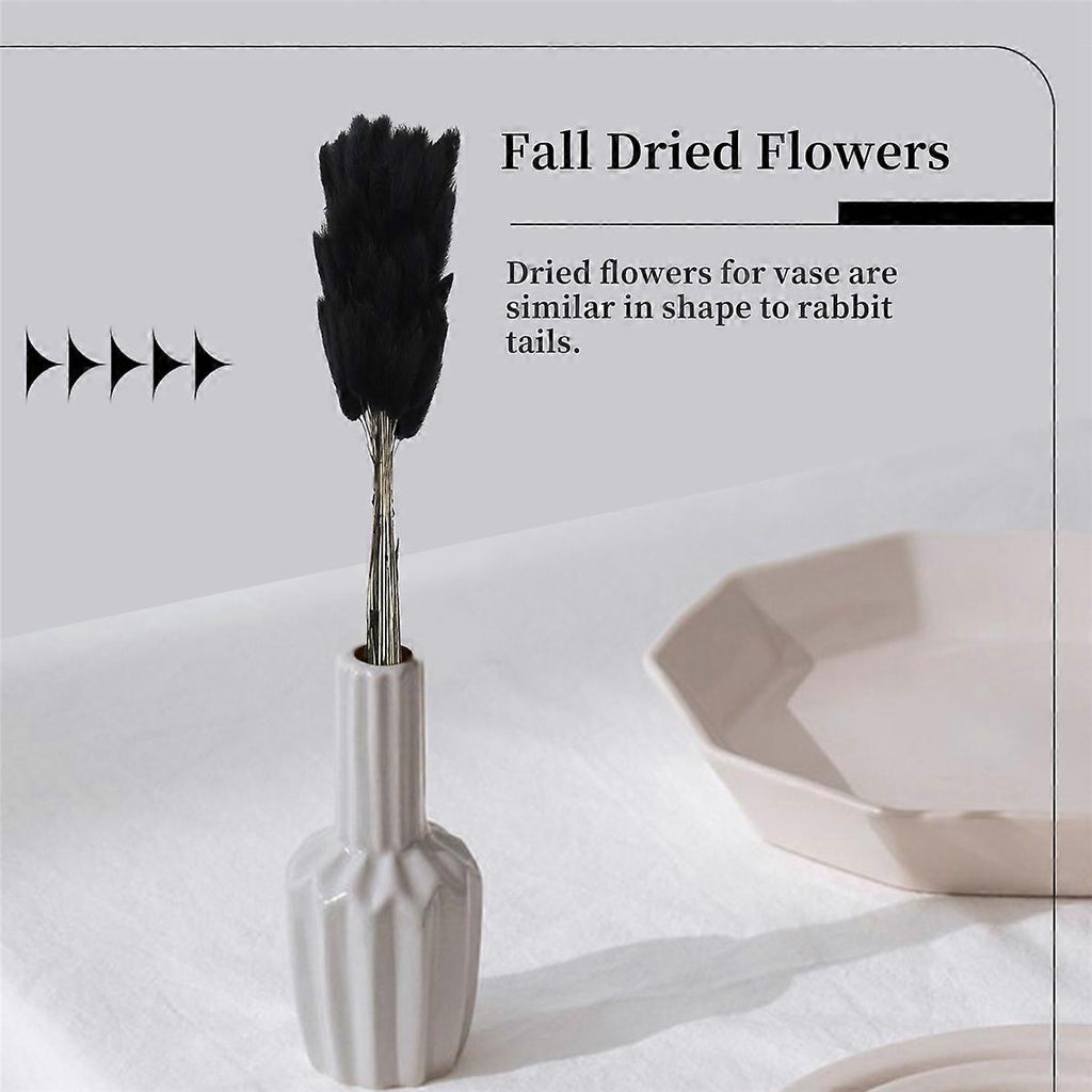 822f372fe16d6448405907d754878e28