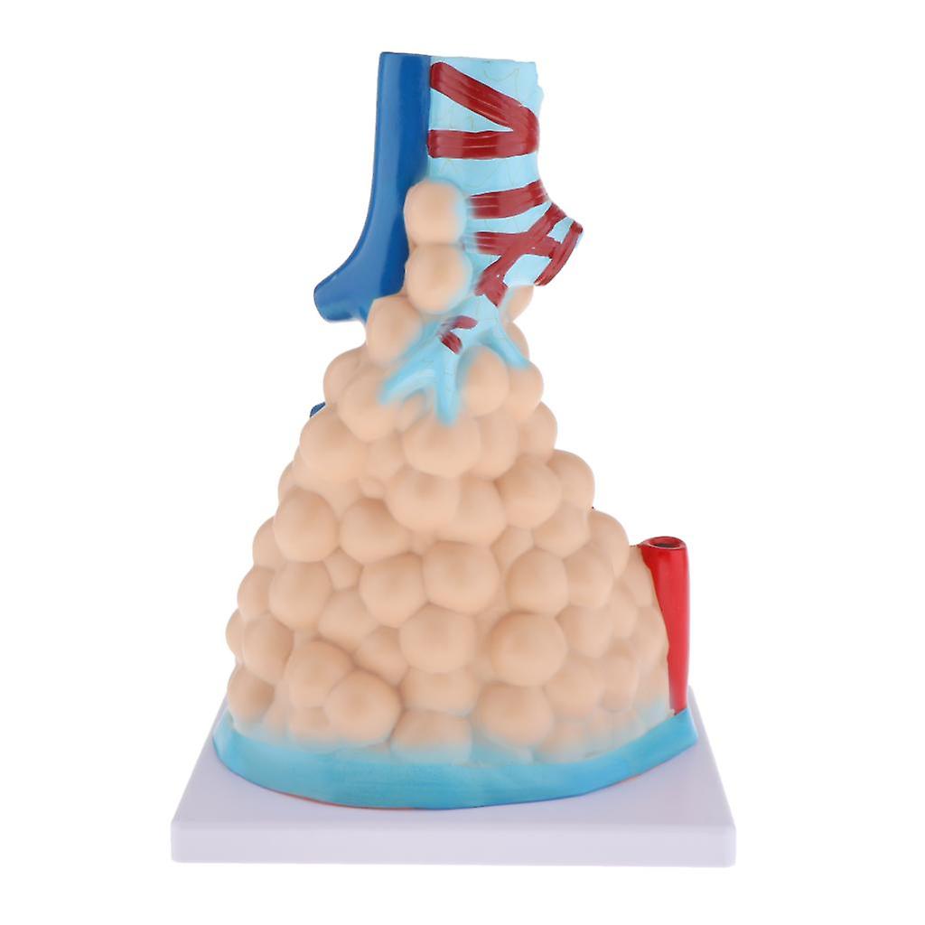 c71c53a0c558ff9cfeb5b831e9e58f46