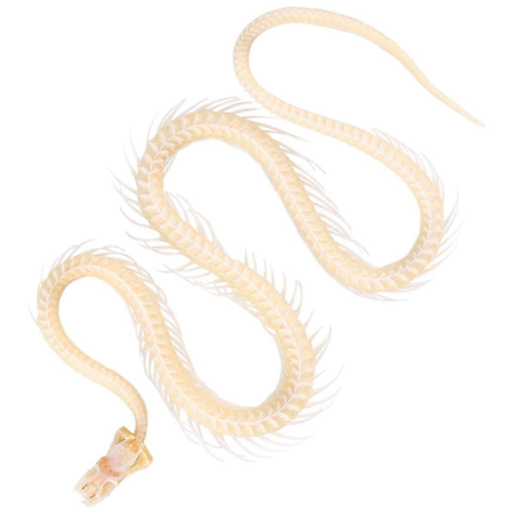 4172b280731f074a9db939138c0d69c8