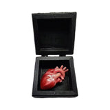 Creative Real Organ Box Prank Toys Toy Spoof Funny Trick Human Heart