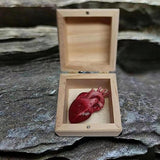 Creative Real Organ Box Prank Toys Toy Spoof Funny Trick Human Heart
