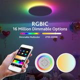 LED Ceiling Light 30W 2700LM Round Flat Panel - WiFi & BT RGBIC/CCT/RGB, 2700K - 6500K Dimmable Color Changing Light
