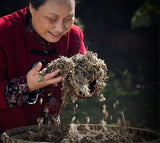 500 grams the health care physical therapy of wild ai (tsao bath bubble foot home moxa leaf grass remove moisture