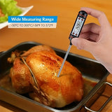 Kitchen oil thermometer and food electronic device