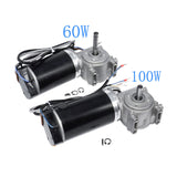 DC 24V 60W 60w/100w High Torque Worm Gear Motor Intelligent Encoder Electric Door Motor for Hotels Automatic Door 220/250RPM