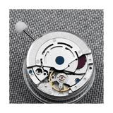 DG2813 White Calendar Date Mechanical Automatic Substitute Miyota 8215 821A Movement