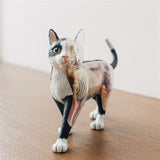 Animal Organ 4D Cat Intelligence Assembg Toy Teaching Anatomy Model DIY Popular Science Appliances
