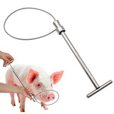 1 Pcs Stainless Steel Wire Catching Pig Lasso Baoding Pig Head Grab Pig Device Pig Equipment Convenient Safety Copper Handle
