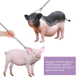 1 Pcs Stainless Steel Wire Catching Pig Lasso Baoding Pig Head Grab Pig Device Pig Equipment Convenient Safety Copper Handle