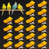 10/20Pcs Bird Quail Automatic Drinking Cups with Tee Connector Hanging Drinkers Bowls for 9.5Mm Hose Bird Drinking Fountain