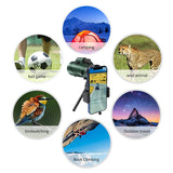 80X100 Monocular Professional with Tripod Phone Clip Low Light HD Telescope for Outdoor Bird Watching Camping Tourism