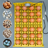 104 Quail Eggs Incubator Turner Automatic Turn Eggs Tray Poultry Incubation Equipment Chickens Ducks Incubation 24 Chicken Eggs