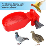10Pcs Bird Quail Hanging Water Bowl Automatic Drinking Pigeon Duck Water Bowl Small Pet Bee Parrot Bird Small Animal