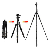 4c5d0fdb48dd5a04aaa926167d614831