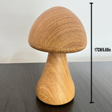 Tri color LED mushroom touch sensor, USB adjustable night light, portable head light with rechargeable battery