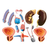 03b7bf5816f619c74a5b165d14181076