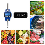 Heavy Duty Hanging Hook Scales Crane Scale Electronic Digital Stainless Steel Weight 300kg Portable