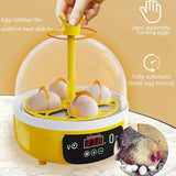 3d5dd9748533e2919c7c0969e4d7d6dc